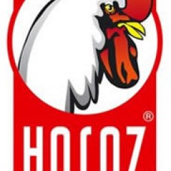 Horoz Electric